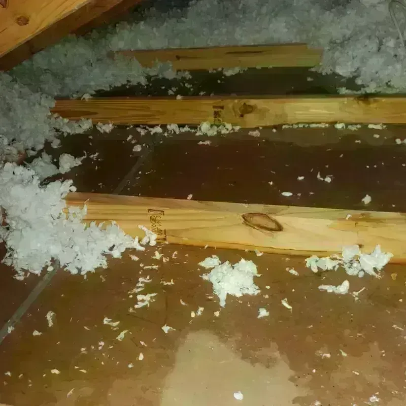 Attic Water Damage in Meadowdale, WA